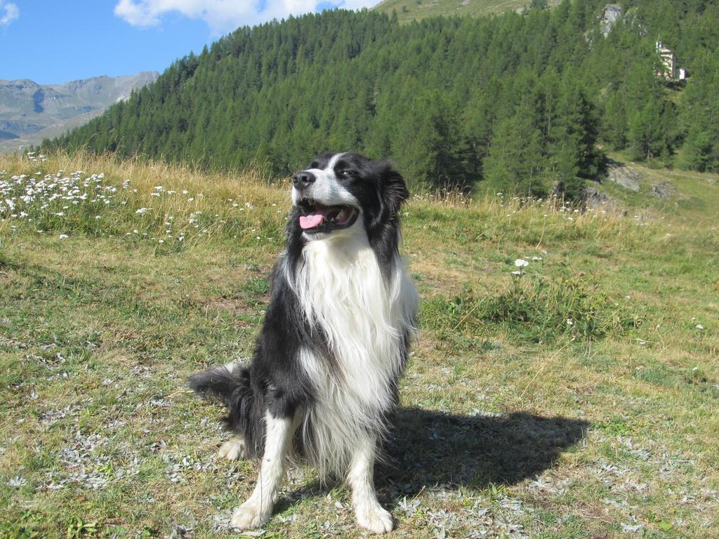 Gasthof Miramonti 2*